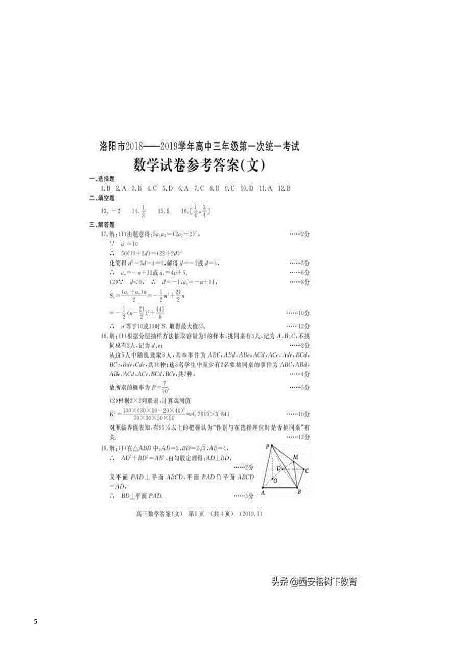 洛阳市2019届高三上学期第一次统一考试数学（文）试题及答案_第5页