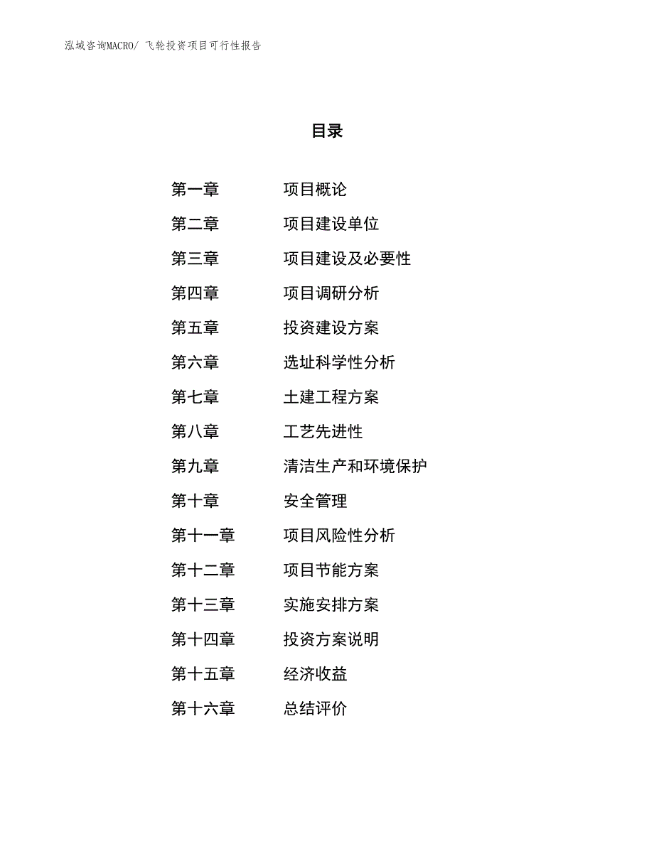 （项目申请）飞轮投资项目可行性报告_第1页