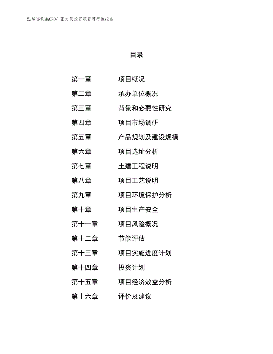 （项目申请）张力仪投资项目可行性报告_第1页