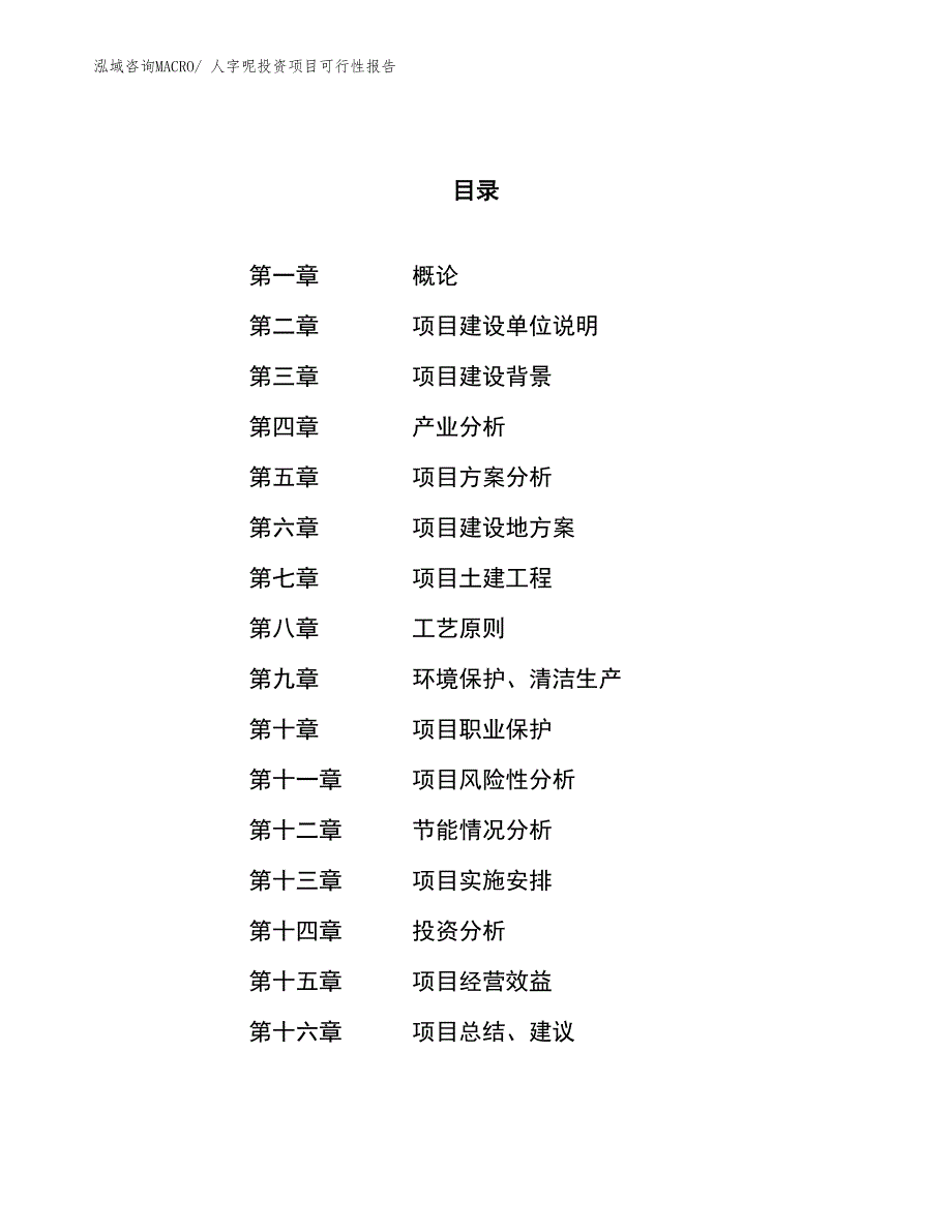 （项目申请）人字呢投资项目可行性报告_第1页