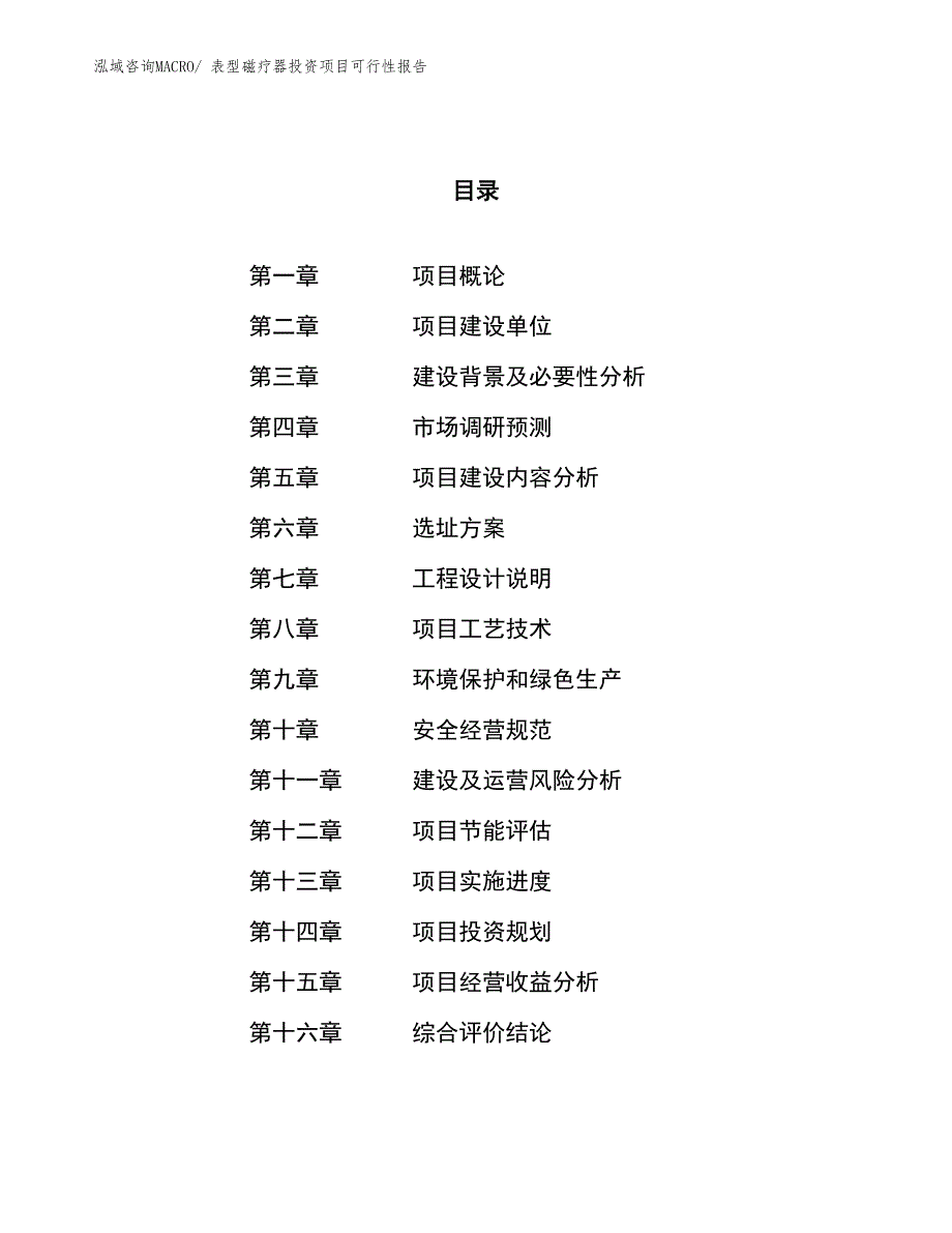 （项目申请）表型磁疗器投资项目可行性报告_第1页