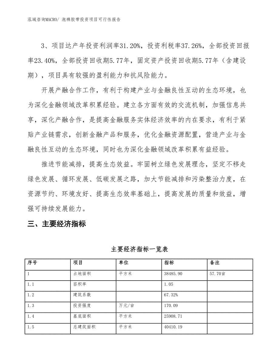 （项目申请）泡棉胶带投资项目可行性报告_第5页