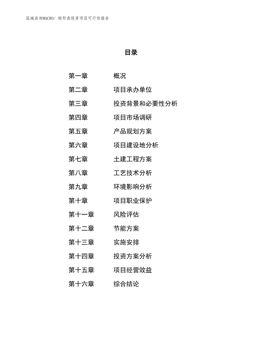 （项目申请）钳形表投资项目可行性报告_第1页