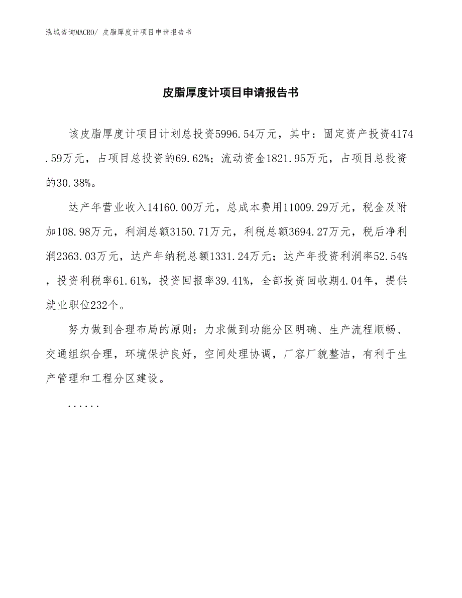 皮脂厚度计项目申请报告书_第2页