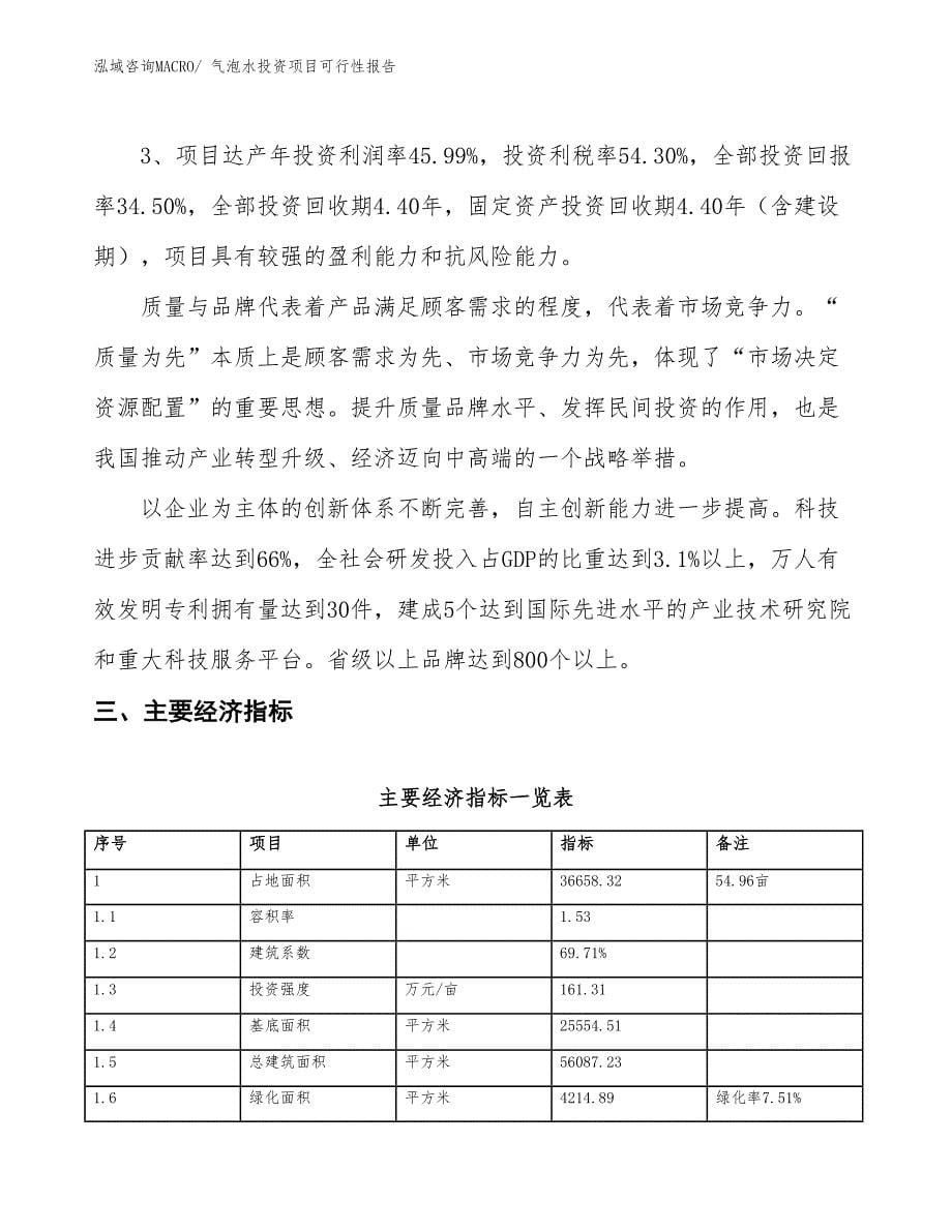 （项目申请）气泡水投资项目可行性报告_第5页