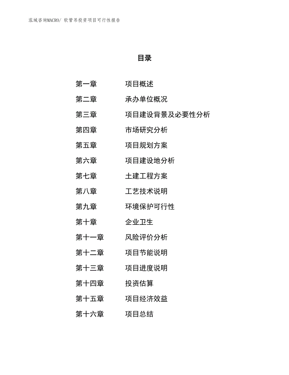 （项目申请）软管吊投资项目可行性报告_第1页