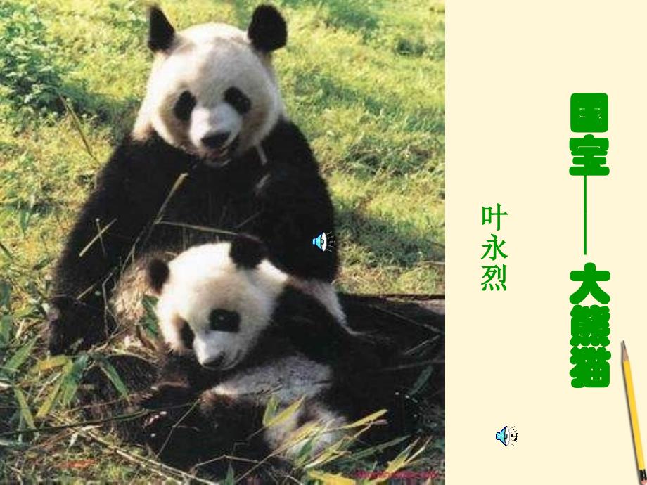 科普文艺作家叶永烈《国宝大熊猫》课件.ppt_第1页