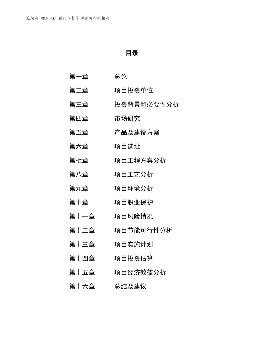 （项目申请）磁疗仪投资项目可行性报告_第1页