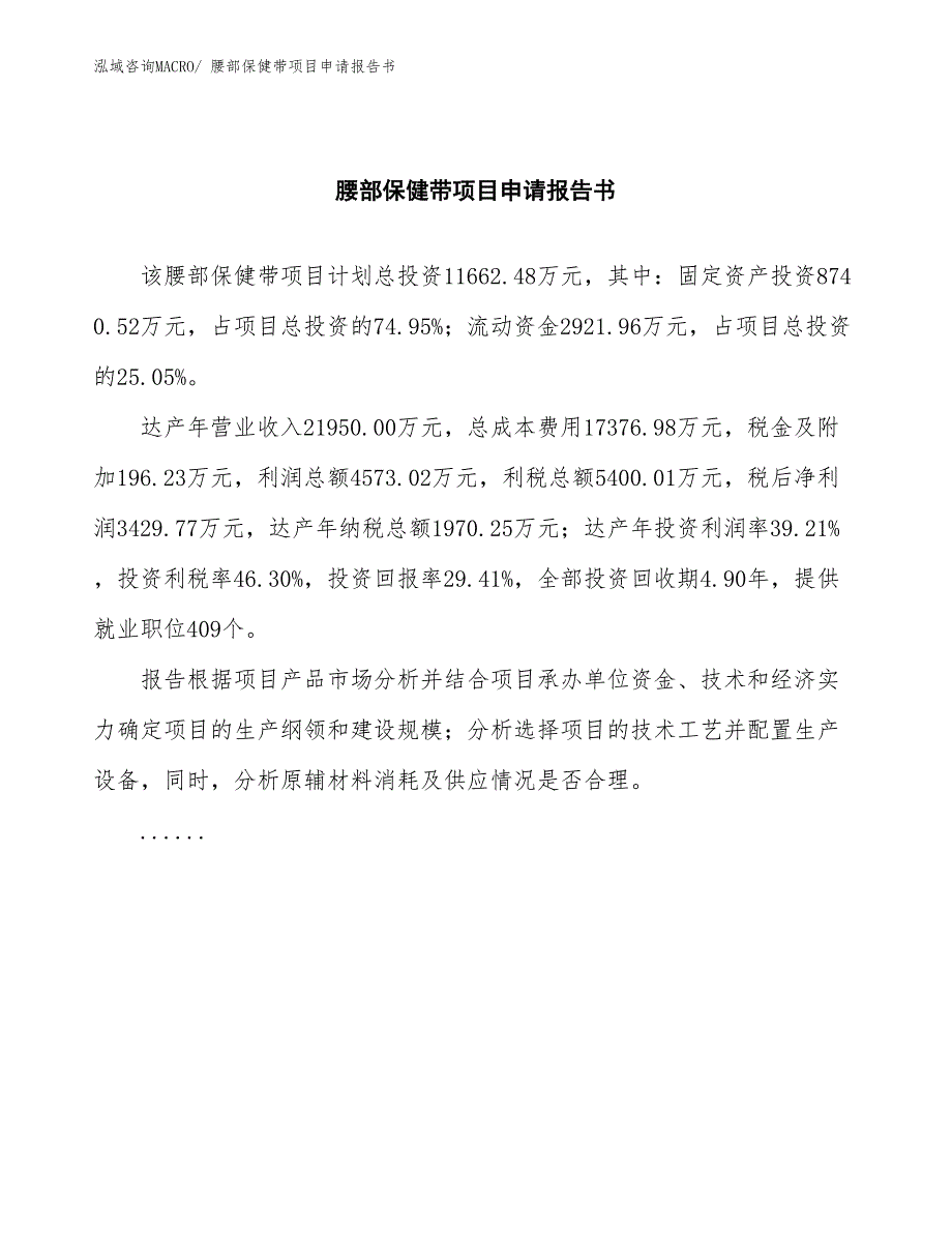 腰部保健带项目申请报告书_第2页