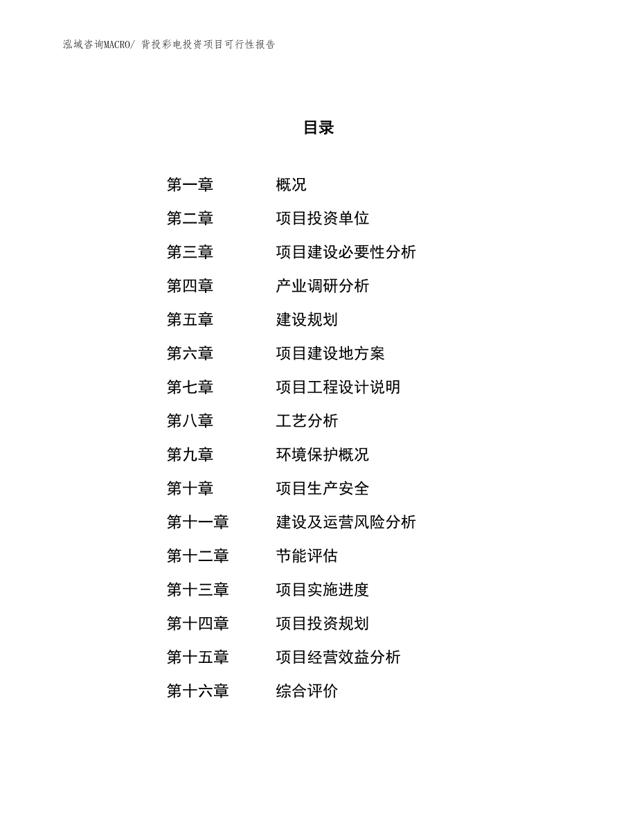 （项目申请）背投彩电投资项目可行性报告_第1页