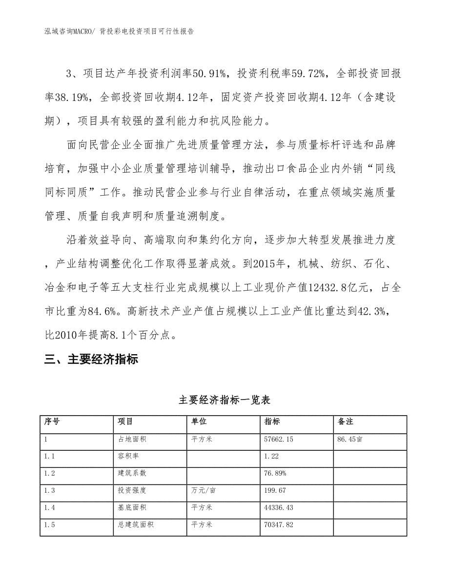 （项目申请）背投彩电投资项目可行性报告_第5页