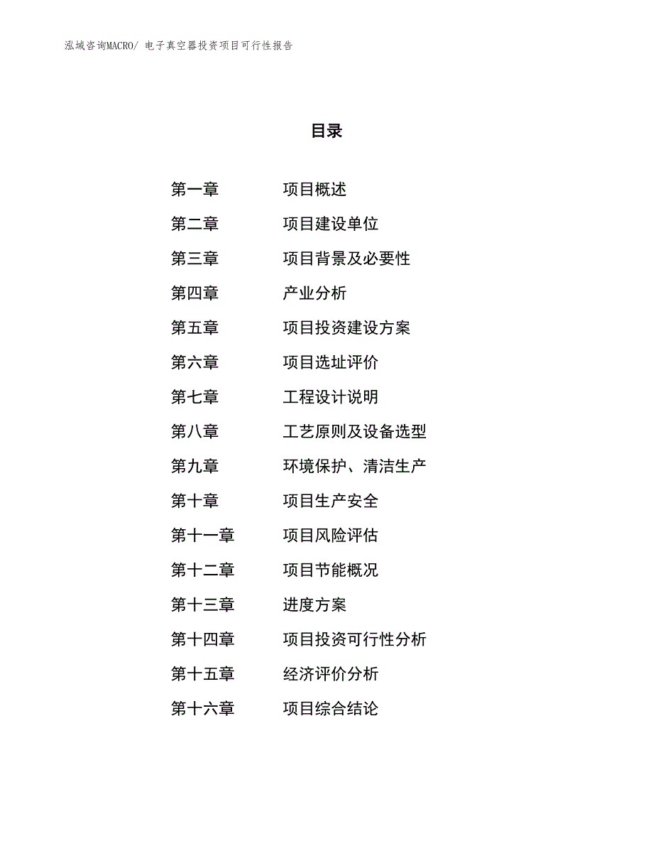 （项目申请）电子真空器投资项目可行性报告_第1页