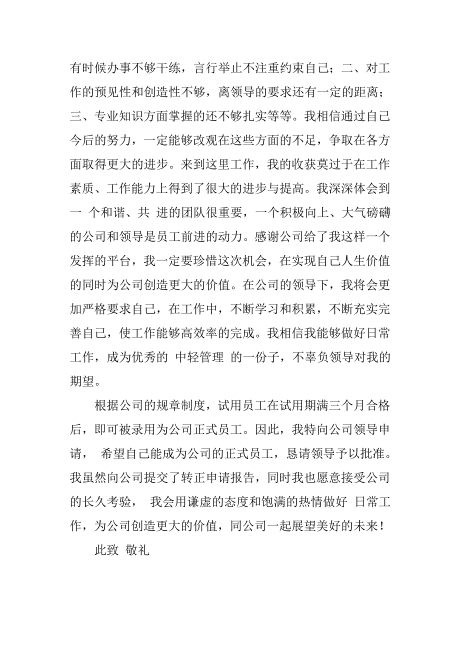 监理员试用期转正工作总结格式.doc_第2页