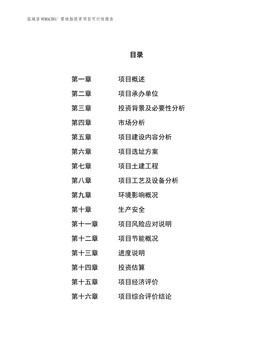 （项目申请）雪地胎投资项目可行性报告_第1页