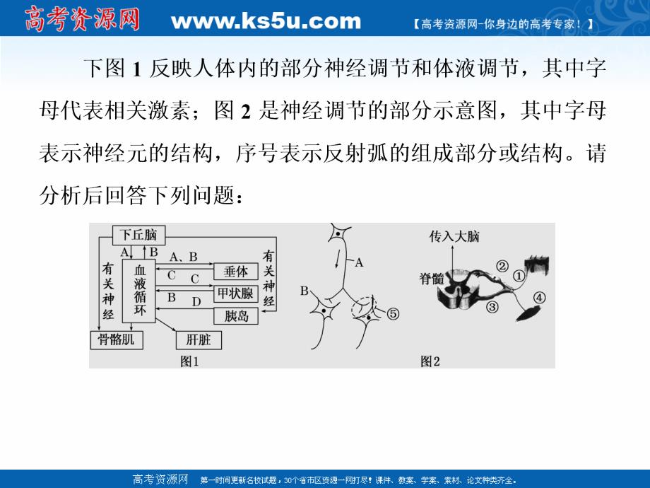 2019版二轮复习生物江苏专版课件：专题四 调节 主攻点之（二）第一课时　神经调节和体液调节 _第4页