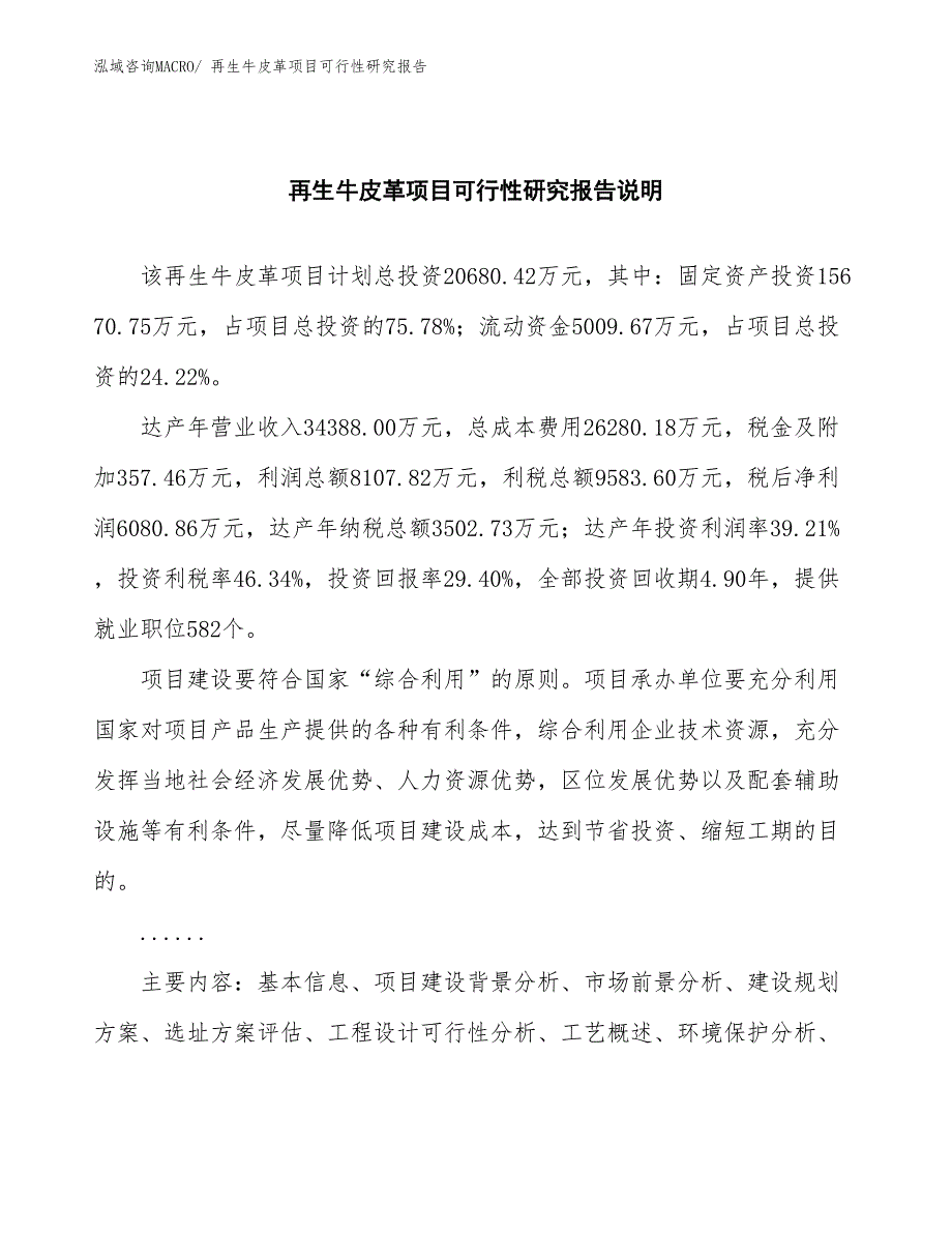 （批地）再生牛皮革项目可行性研究报告_第2页