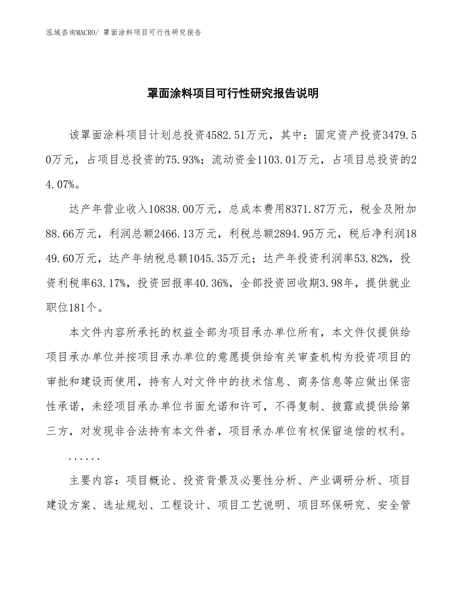 （批地）罩面涂料项目可行性研究报告_第2页