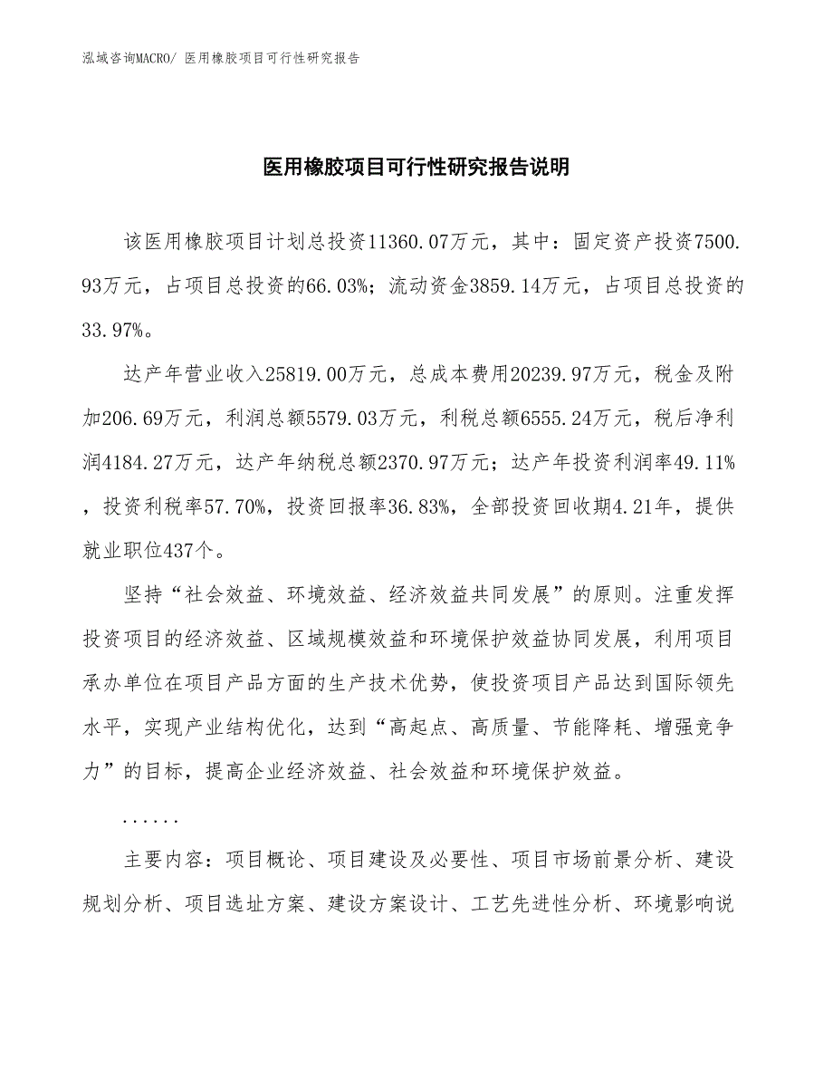 （批地）医用橡胶项目可行性研究报告_第2页