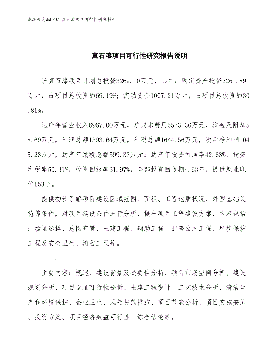 （批地）真石漆项目可行性研究报告_第2页