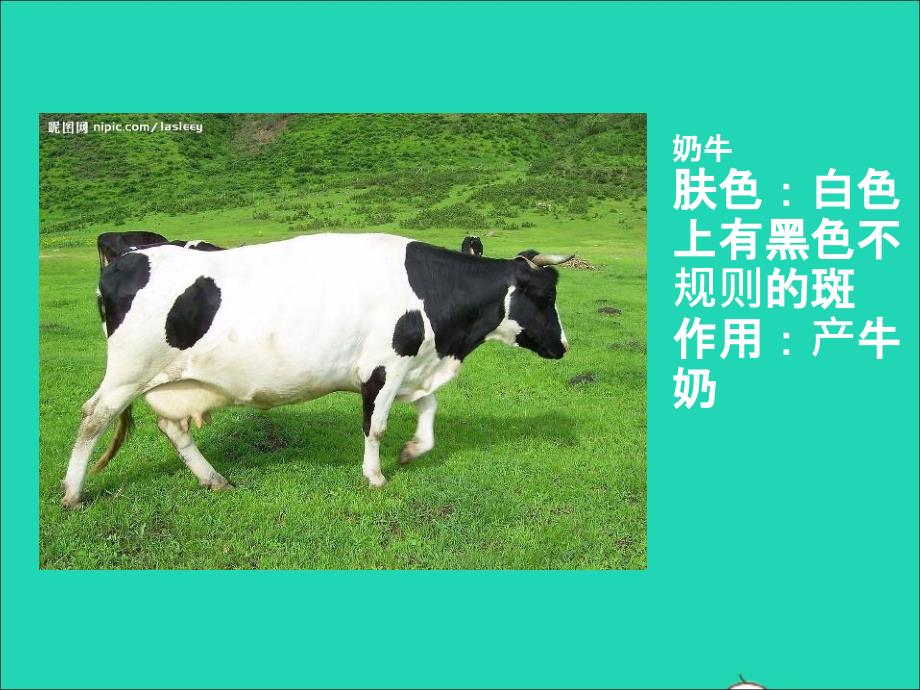 一年级美术下册 第17课《大牛和小牛》课件3 浙美版_第4页