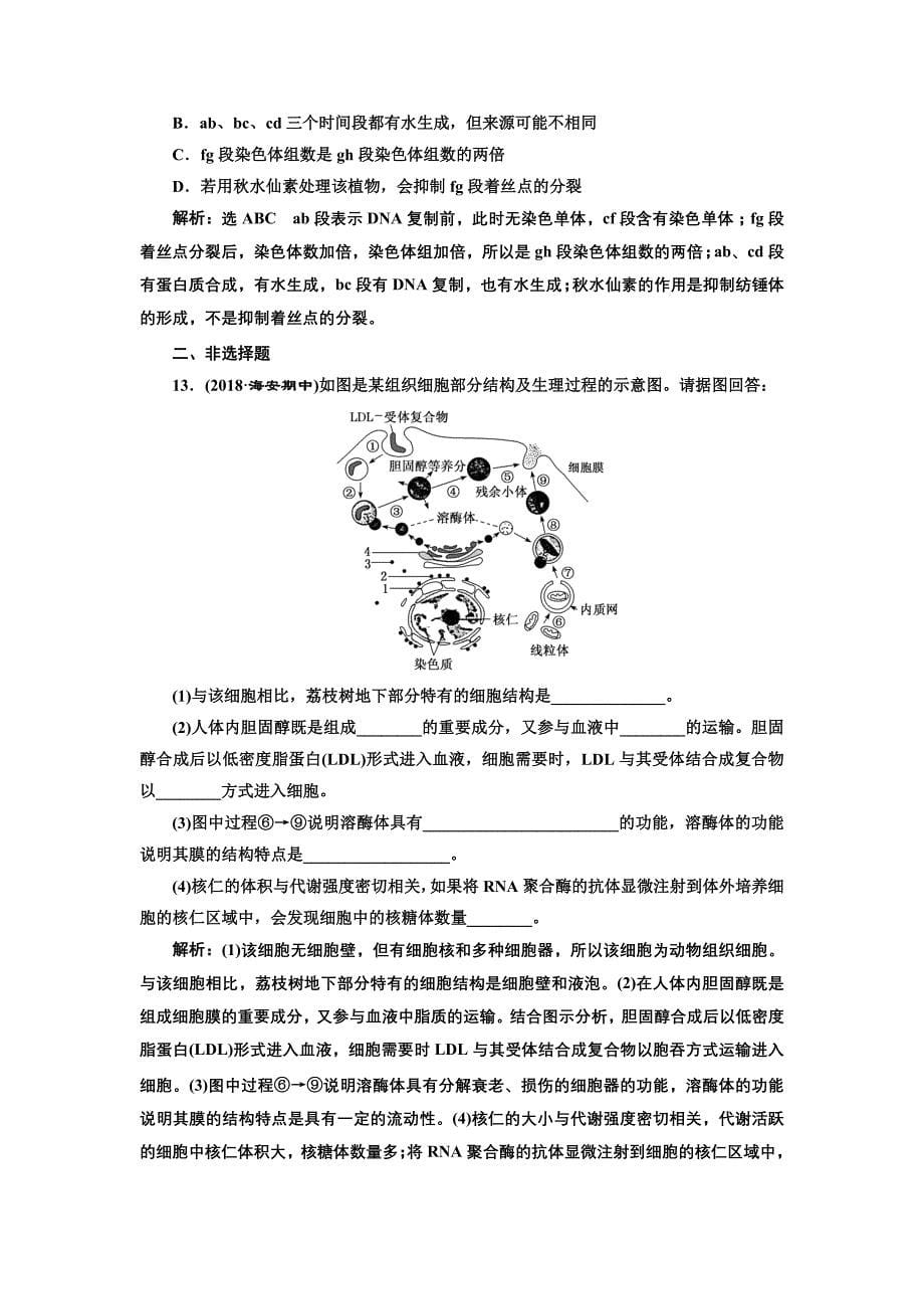 2019版二轮复习生物江苏专版：专题专项检测卷（一） 细胞 b卷——重点增分练 word版含解析_第5页