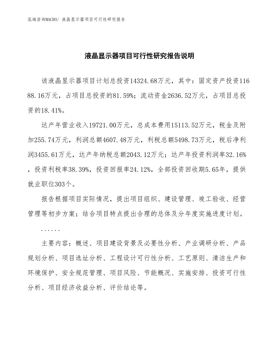 （批地）液晶显示器项目可行性研究报告_第2页