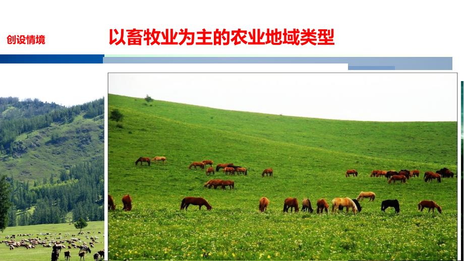 2018-2019学年高一下学期人教版地理必修2课件  3.3  以畜牧业为主的农业地域类型_第2页