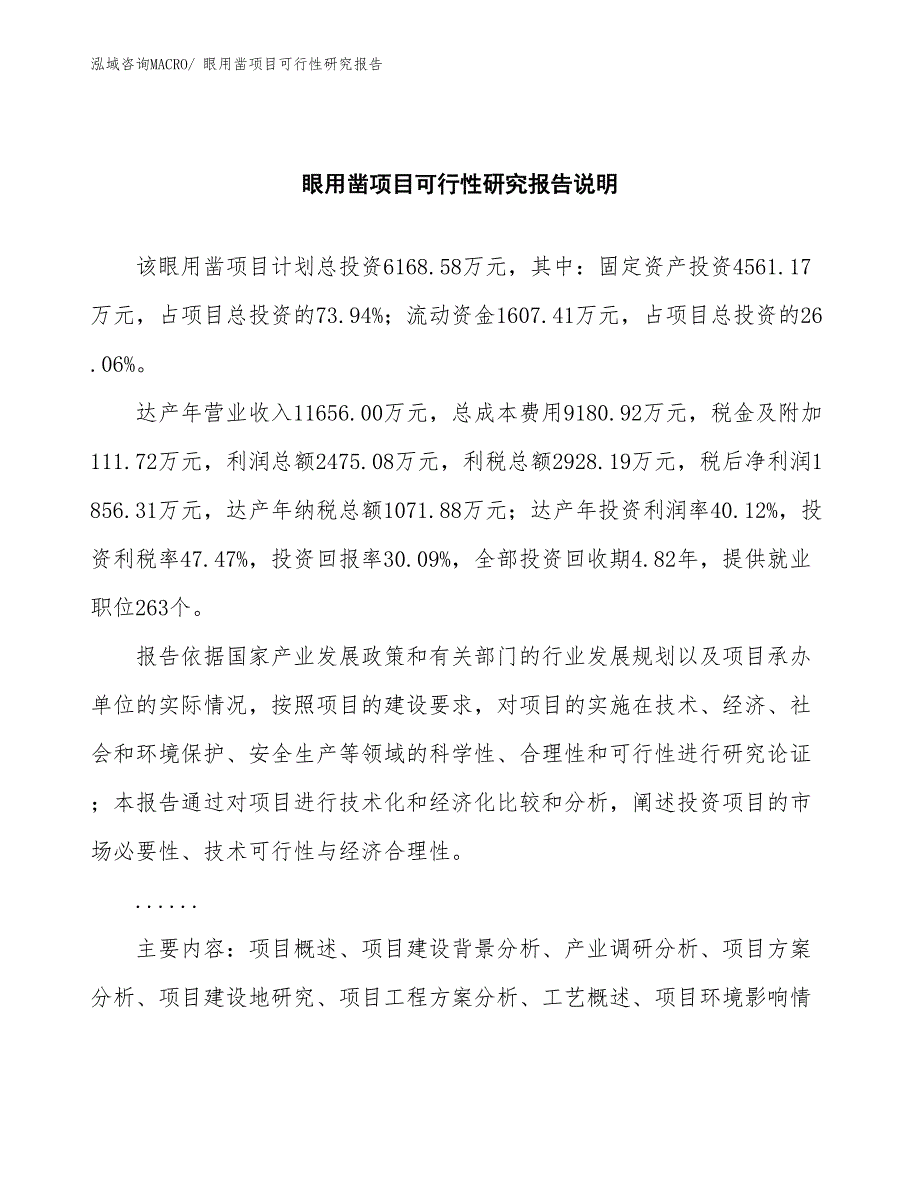 （批地）眼用凿项目可行性研究报告_第2页