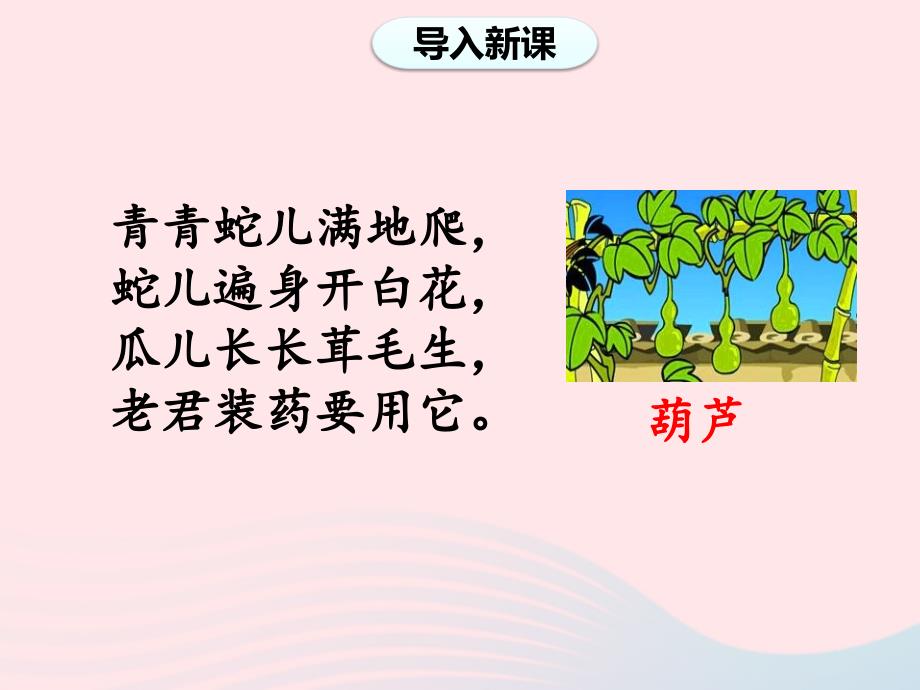 2019二年级语文上册 课文4 14《我要的是葫芦》（第一课时）课件 新人教版_第2页