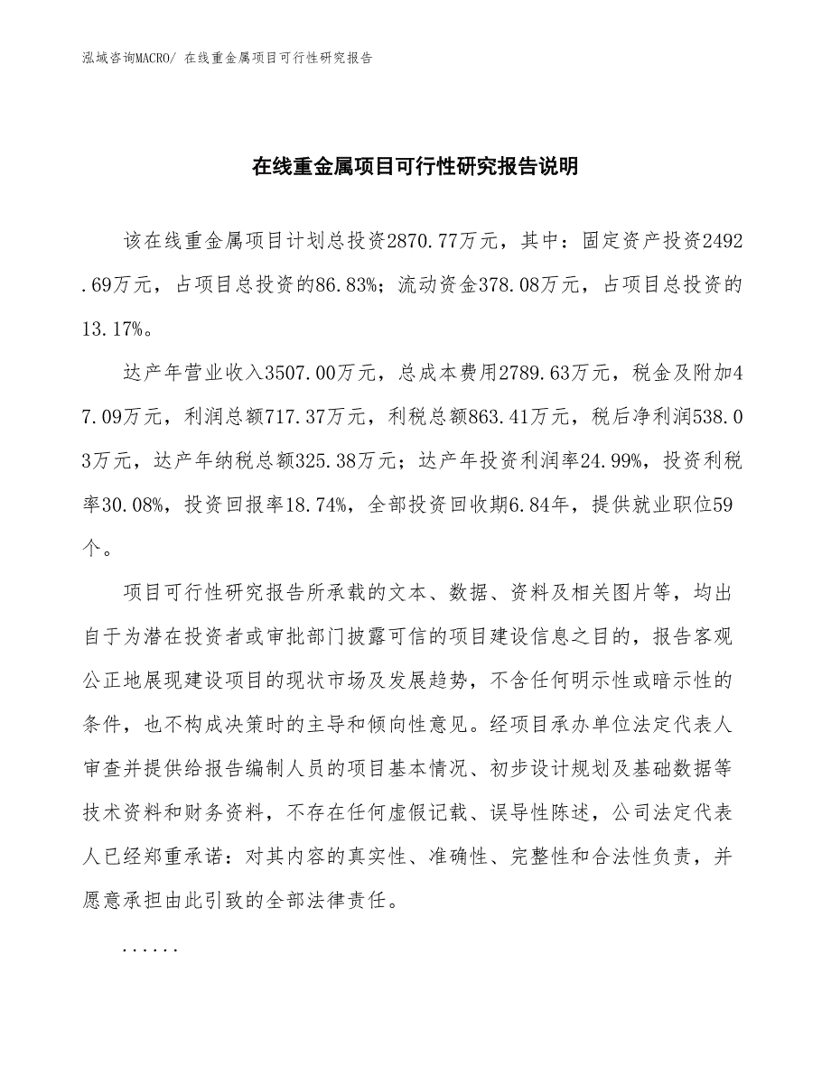 （批地）在线重金属项目可行性研究报告_第2页