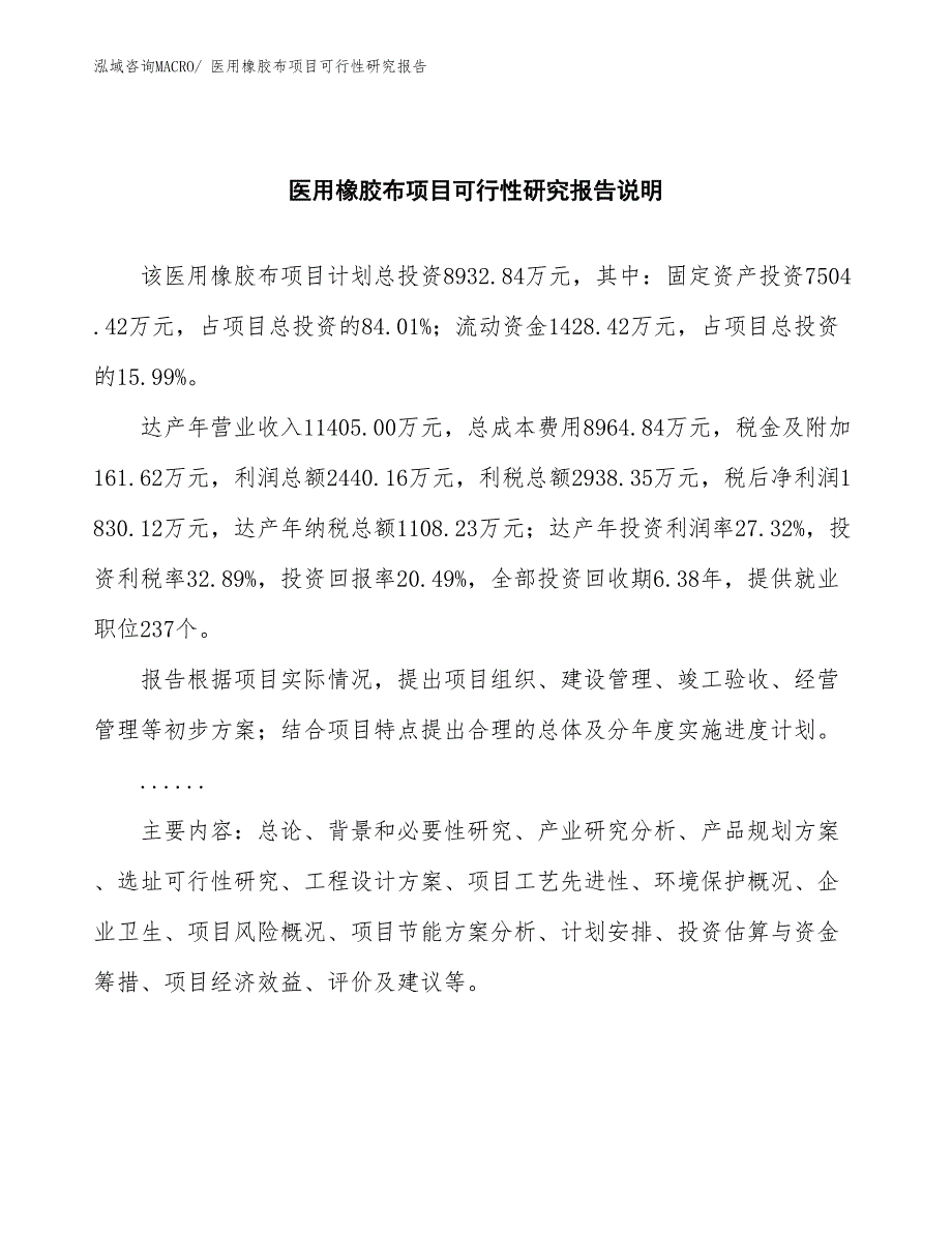 （批地）医用橡胶布项目可行性研究报告_第2页