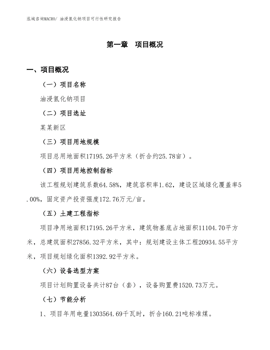 （批地）油浸氢化钠项目可行性研究报告_第4页