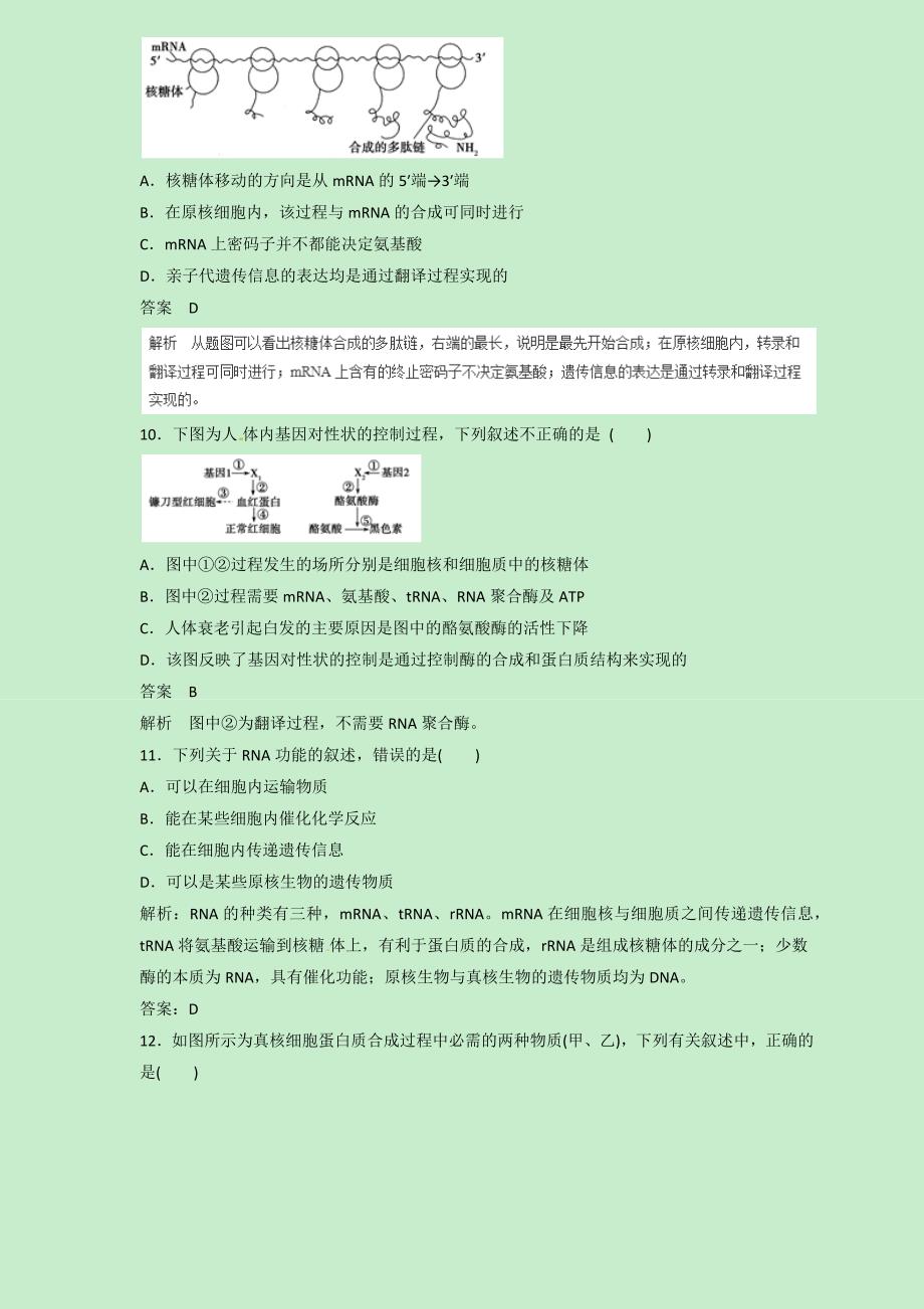 2019届高三生物二轮热点题型专练 专题20 基因的表达集合  word版含解析_第4页