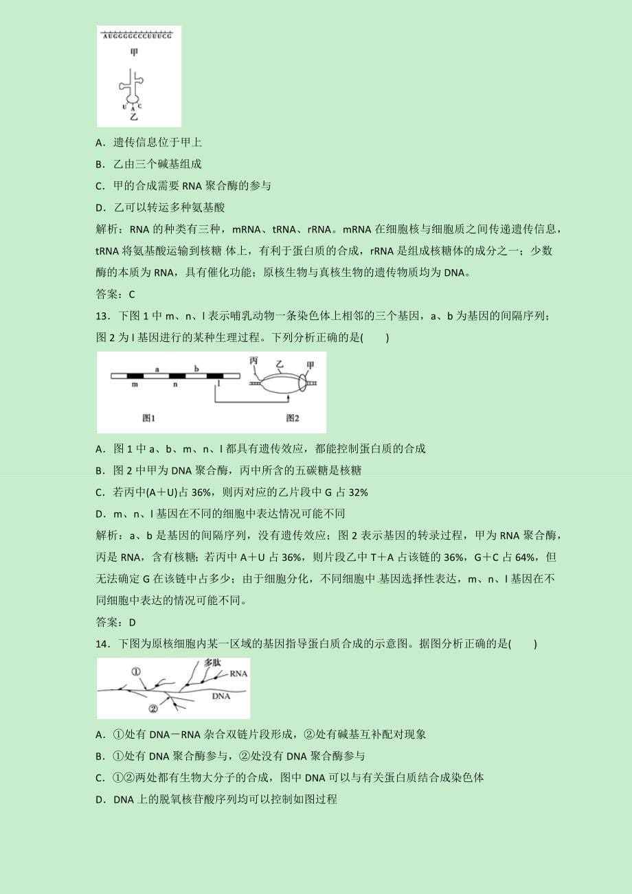 2019届高三生物二轮热点题型专练 专题20 基因的表达集合  word版含解析_第5页