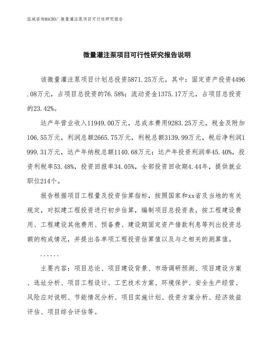 （批地）微量灌注泵项目可行性研究报告_第2页