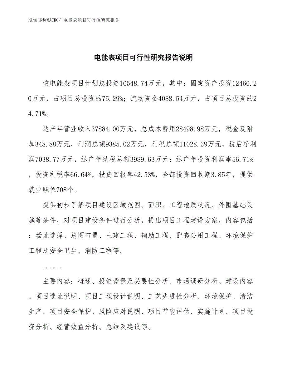 （批地）电能表项目可行性研究报告_第2页