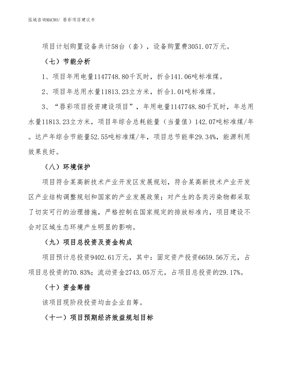 （立项审批）唇彩项目建议书_第3页