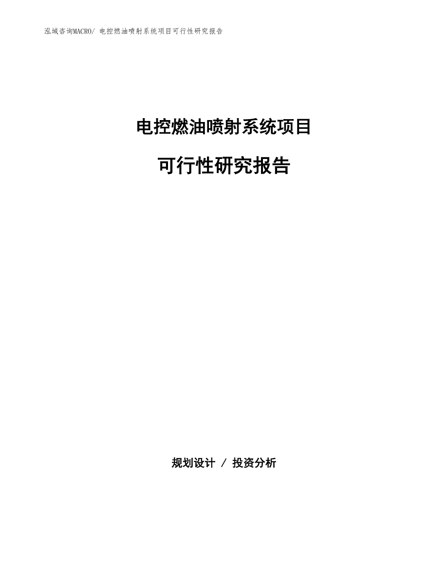 （批地）电控燃油喷射系统项目可行性研究报告_第1页