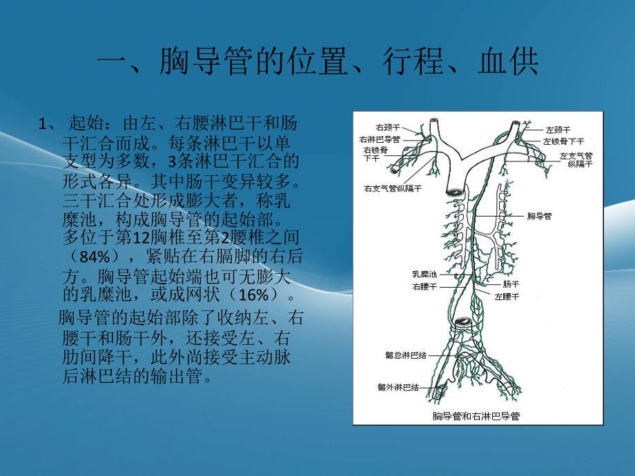 胸导管的临床解剖_第3页
