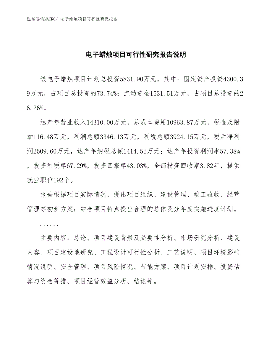 （批地）电子蜡烛项目可行性研究报告_第2页