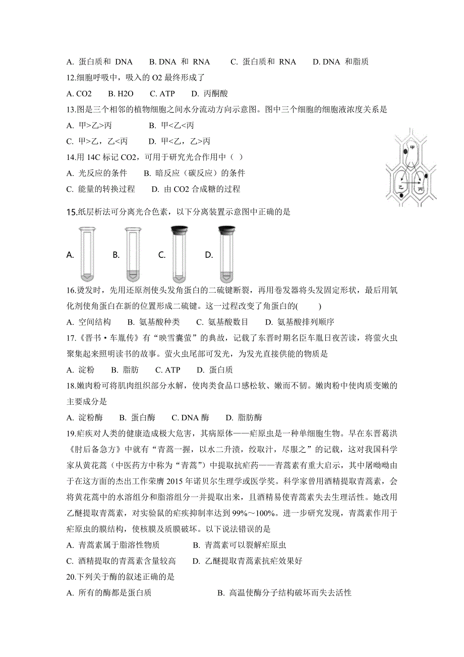 四川省遂宁二中2018-2019学年高一下学期第一次月考生物试卷 word版含答案_第2页