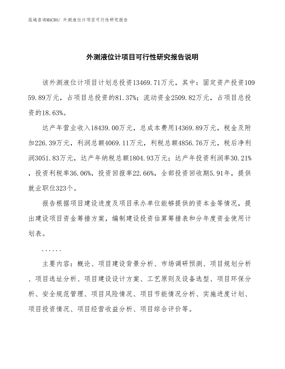 （批地）外测液位计项目可行性研究报告_第2页