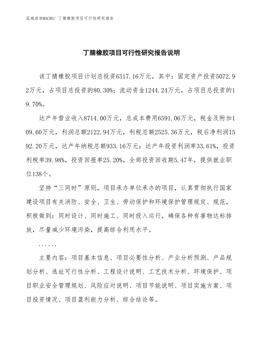 （批地）丁腈橡胶项目可行性研究报告_第2页