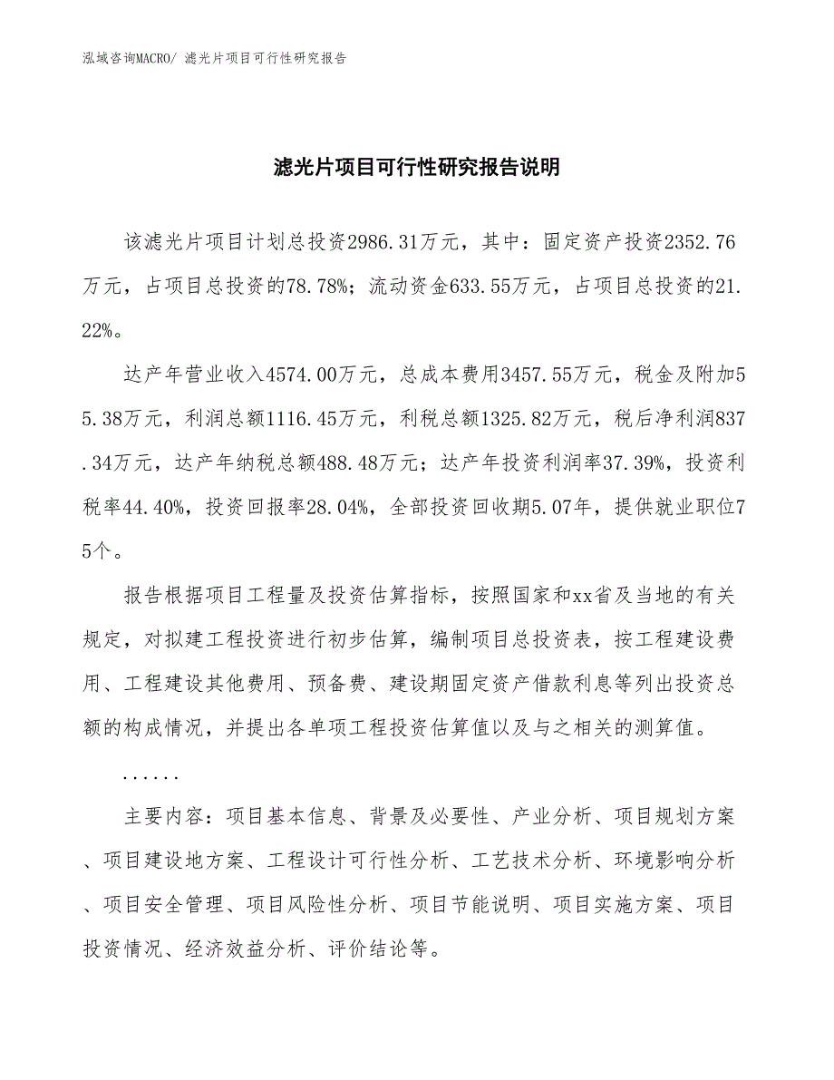 （批地）滤光片项目可行性研究报告_第2页