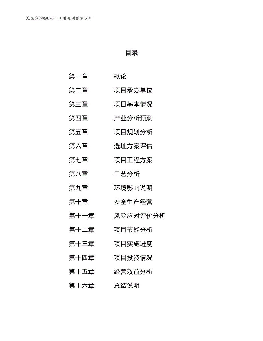 （立项审批）多用表项目建议书_第1页