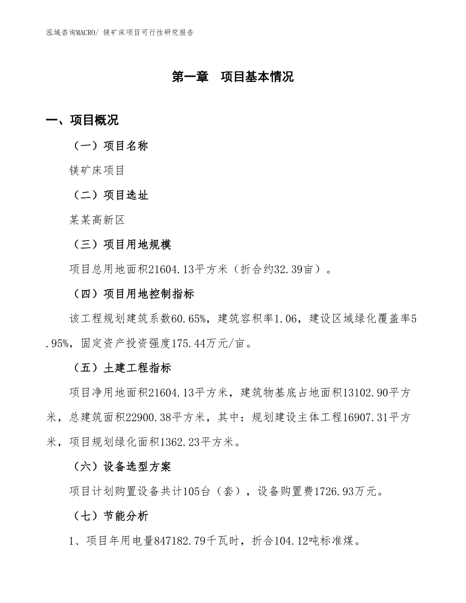 （批地）镁矿床项目可行性研究报告_第3页