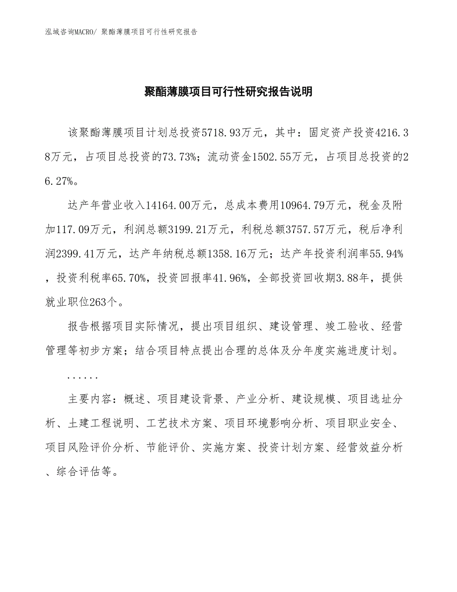 （批地）聚酯薄膜项目可行性研究报告_第2页