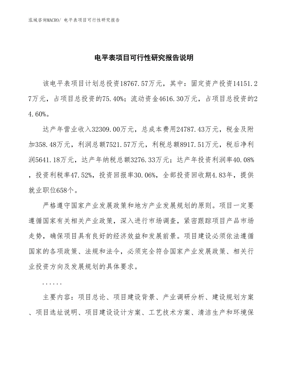 （批地）电平表项目可行性研究报告_第2页