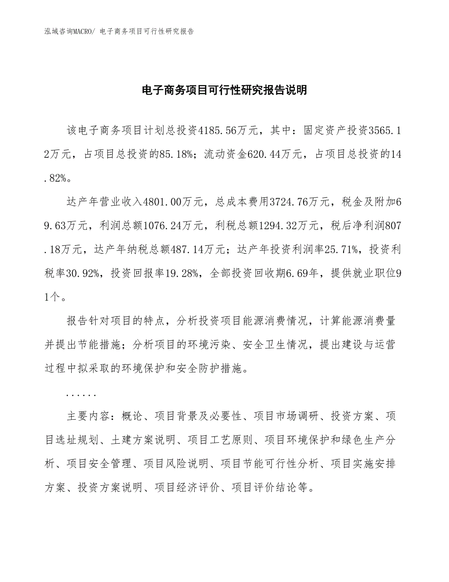 （批地）电子商务项目可行性研究报告_第2页