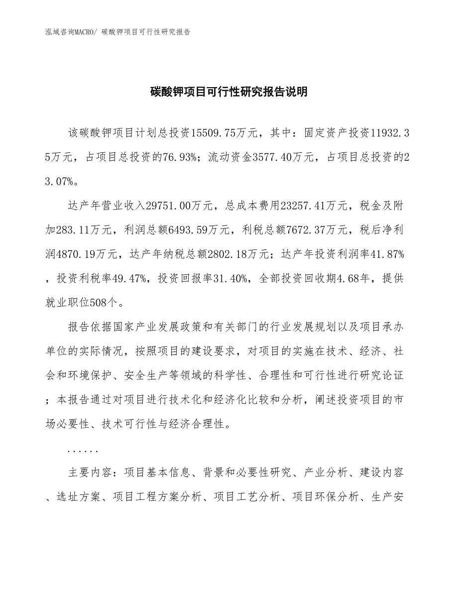 （批地）碳酸钾项目可行性研究报告_第2页